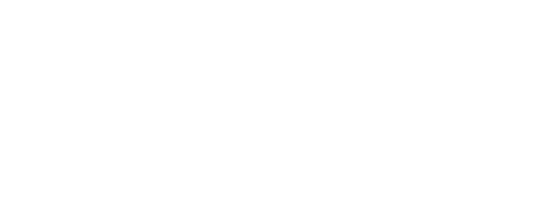 logo-forte-1